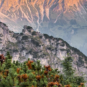 Alps