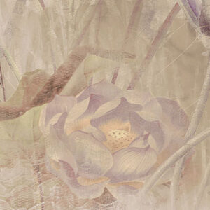 Dragonfly Pond