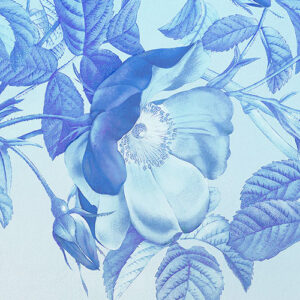 Blue Aura
