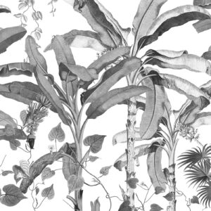 Croissances Monochrome