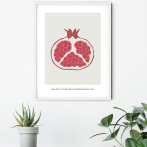 Cultivated Pomegranate