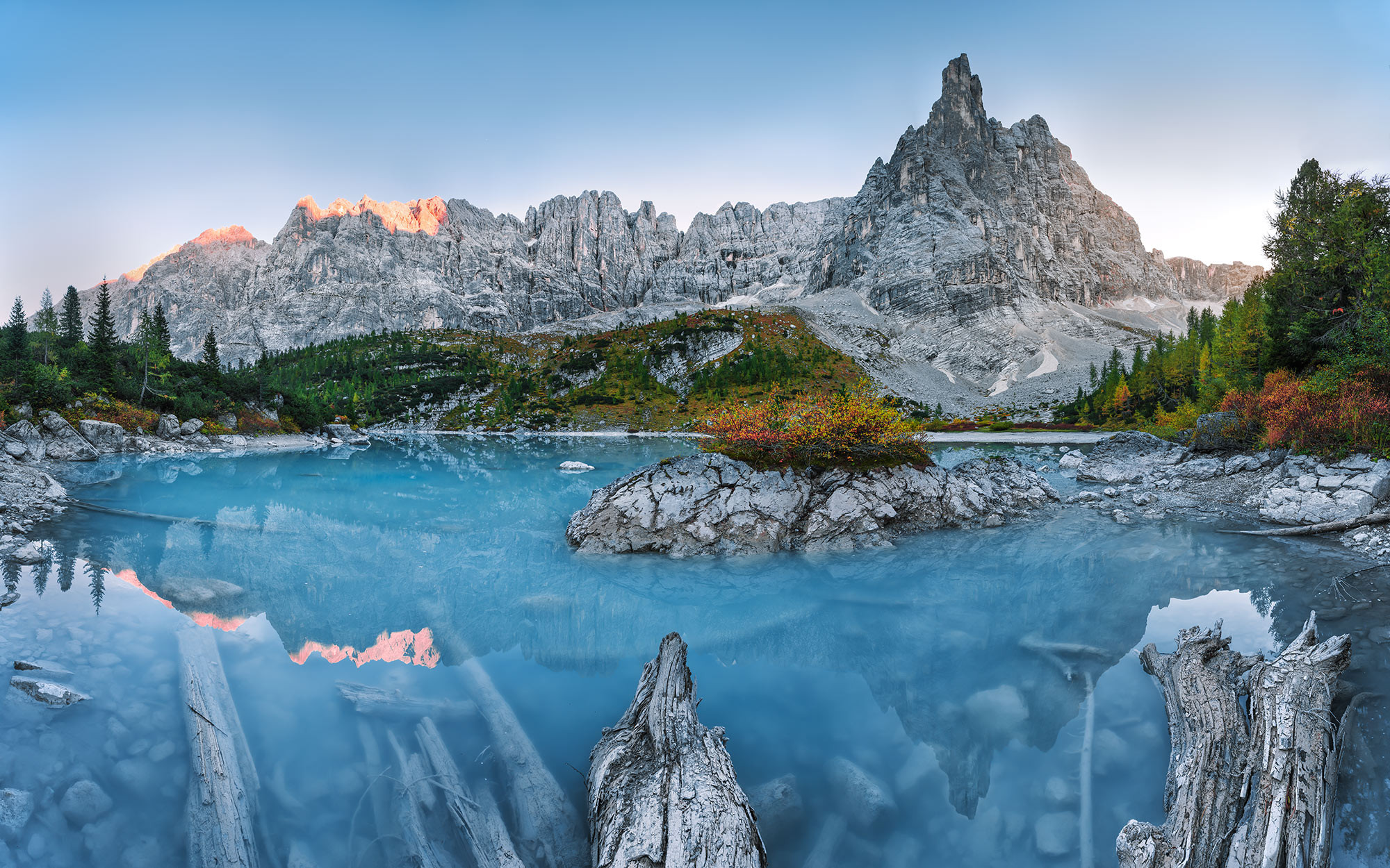 Alpine Treasure