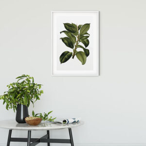 Elastica Tree