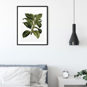 Elastica Tree