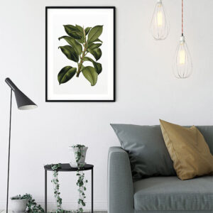 Elastica Tree