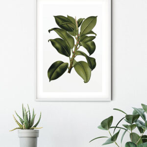 Elastica Tree