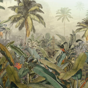 Amazonia