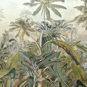Amazonia