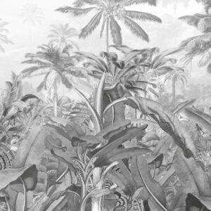 Amazonia Black and White