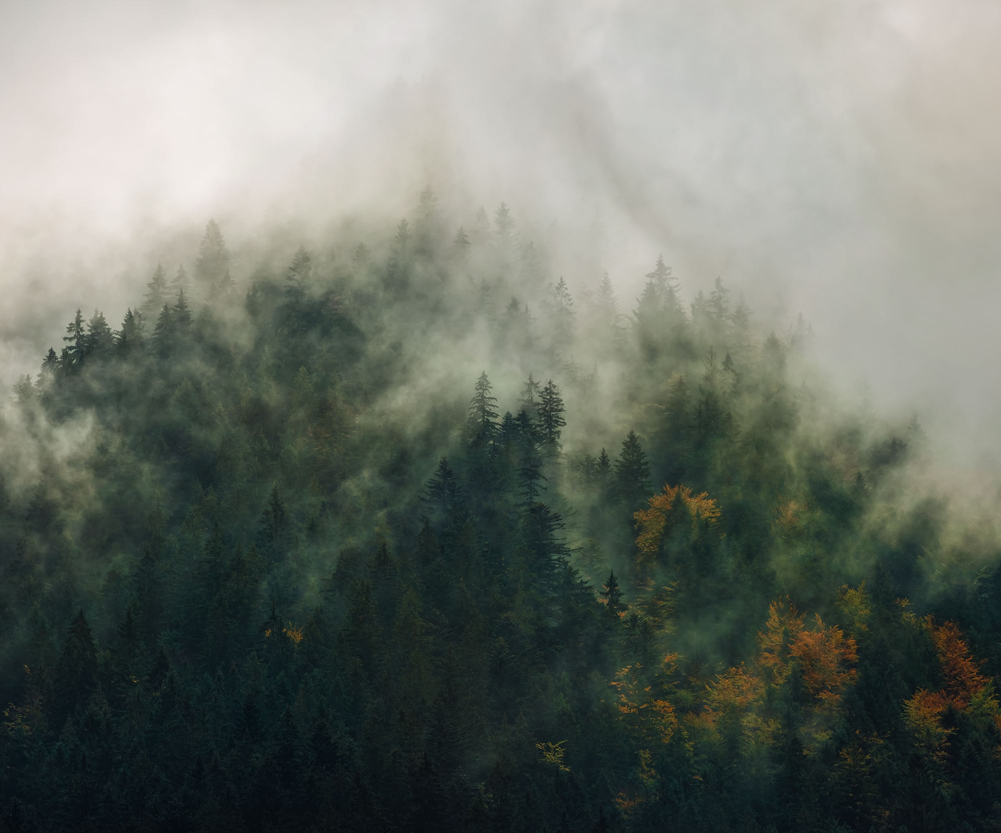 Ambience