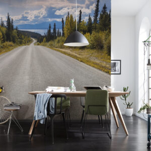 Atlin Road