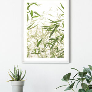 Bamboo Leaves
