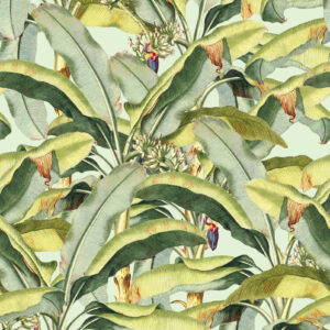 Banana Grove