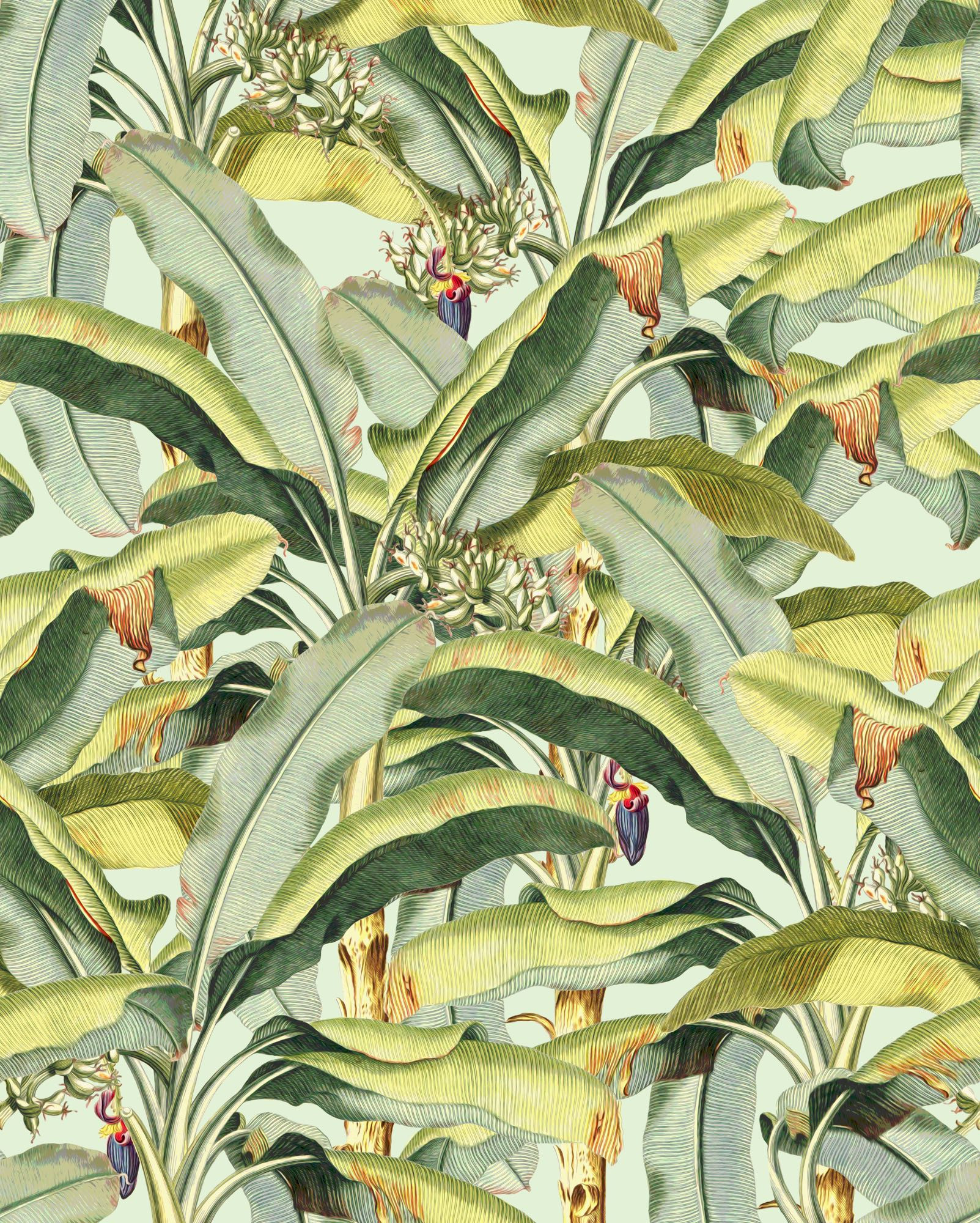 Banana Grove