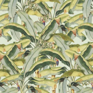 Banana Grove