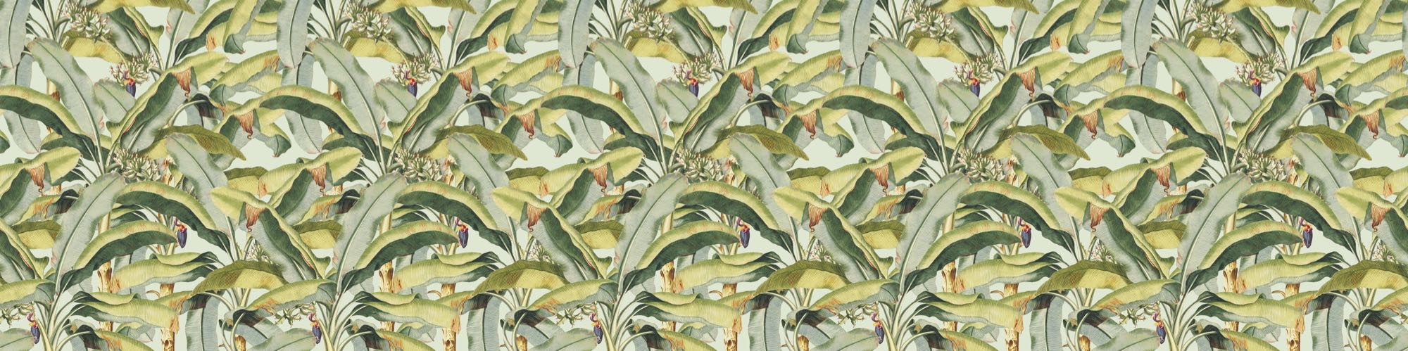 Banana Grove