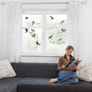 Birds