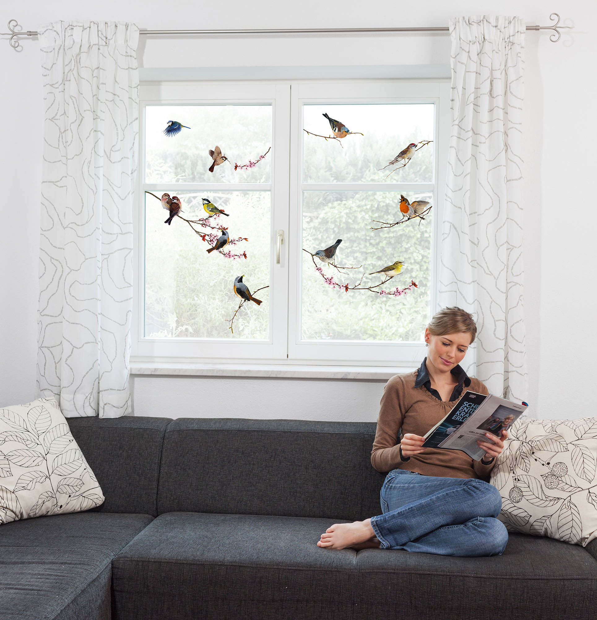 Birds