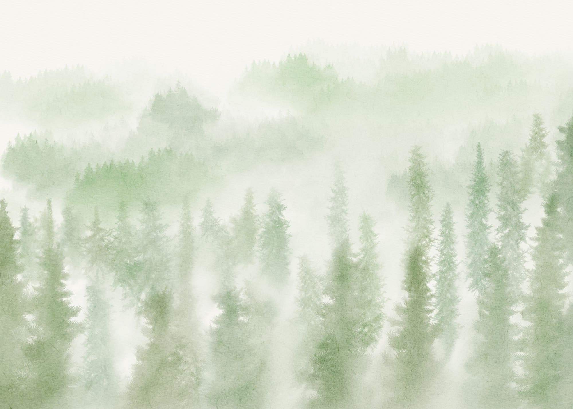 Blurry Woods
