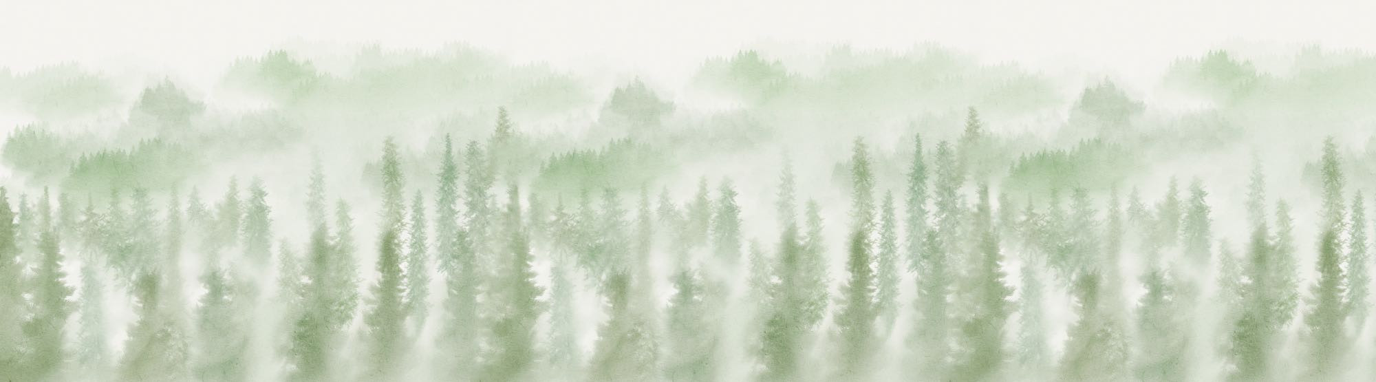 Blurry Woods