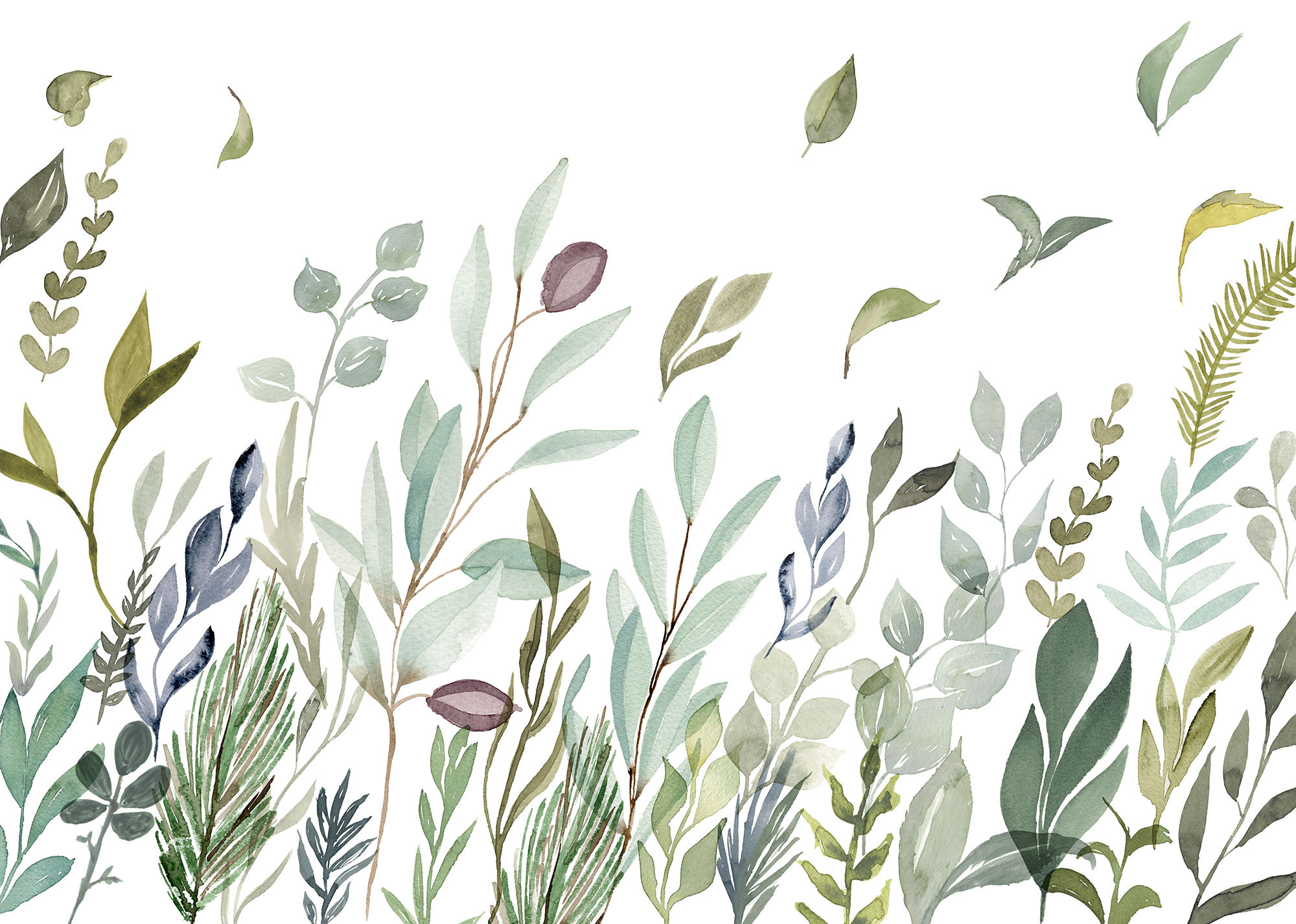 Breeze