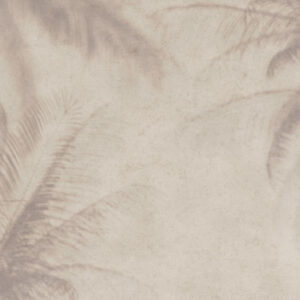 Brise