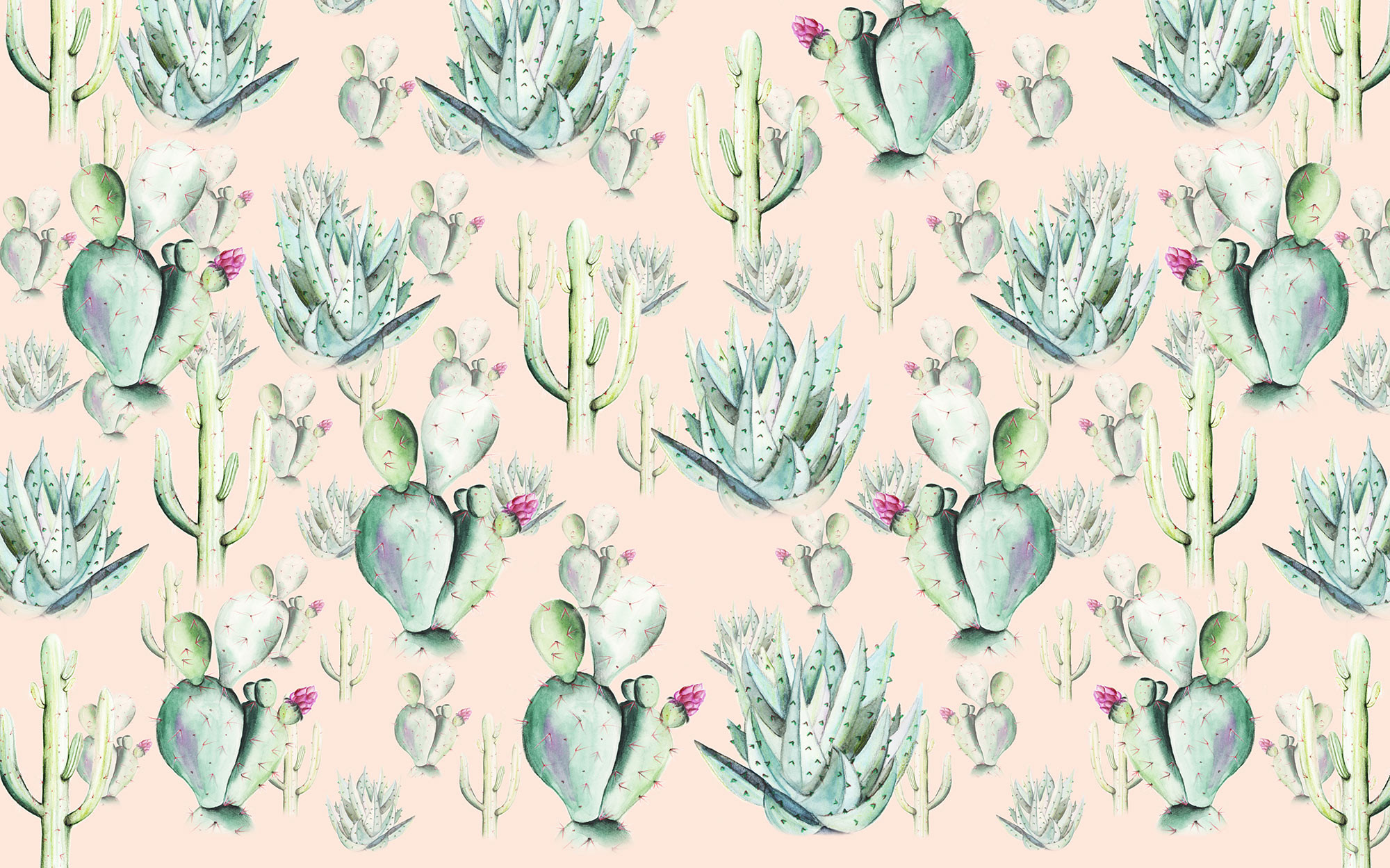 Cactus Rose