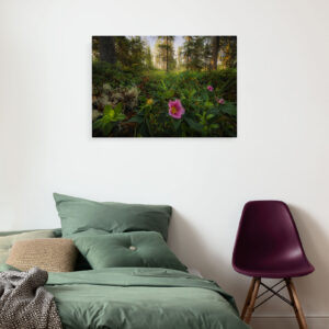 Charming Woods