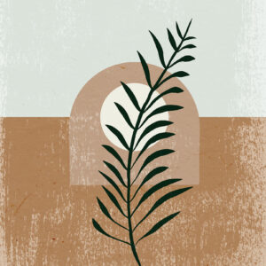 Coffee Arabica