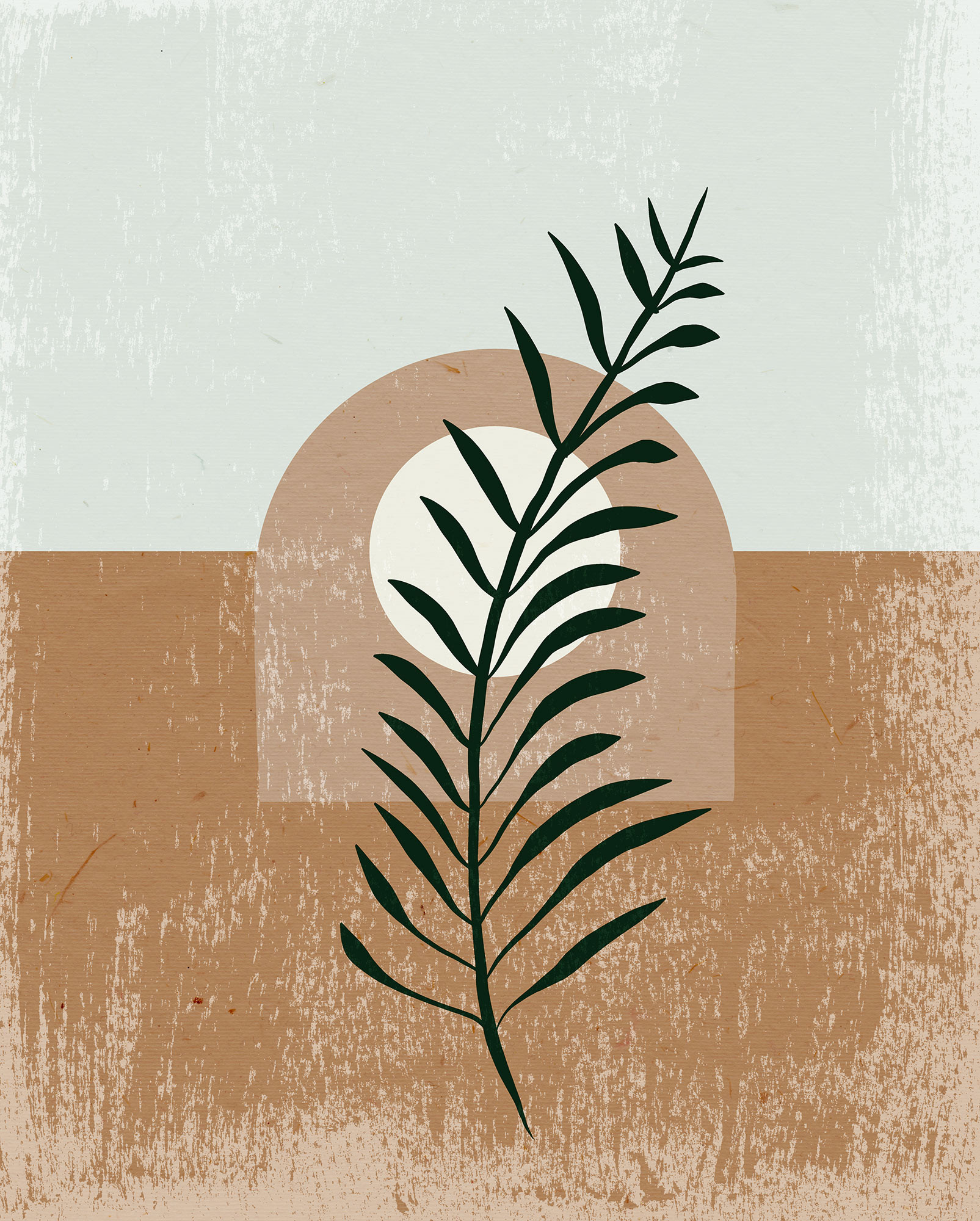 Coffee Arabica