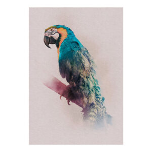 Color Prints