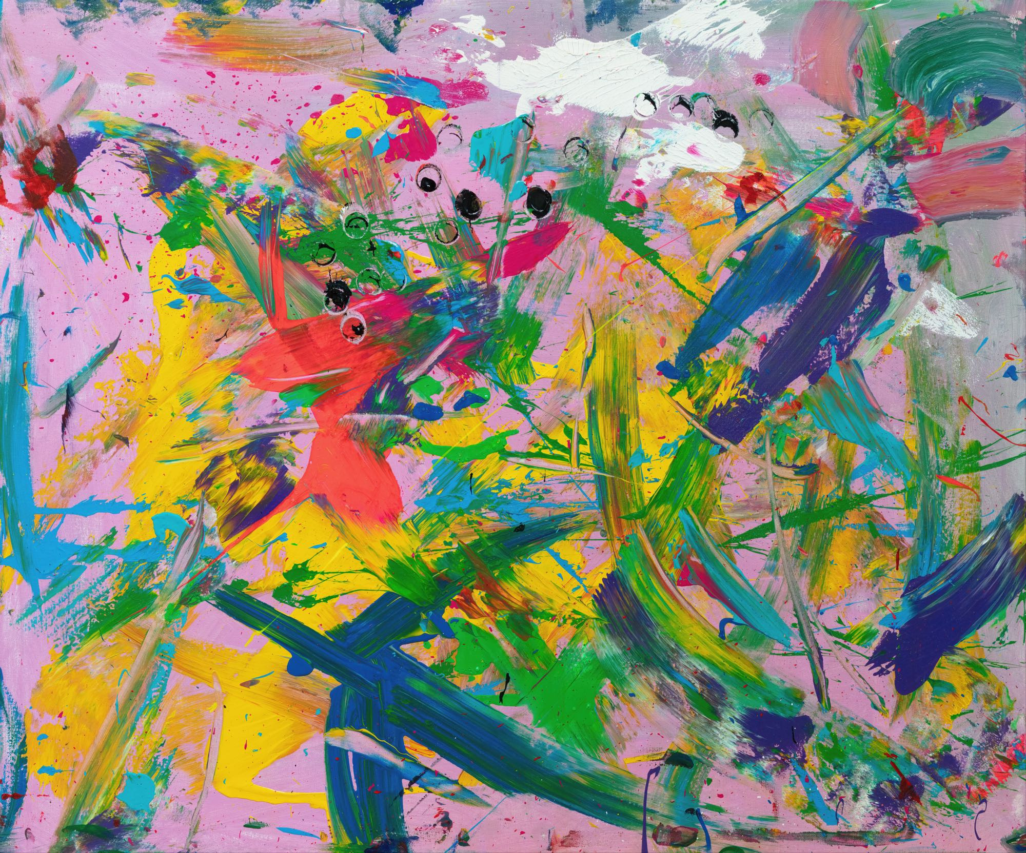 Colorful Birds