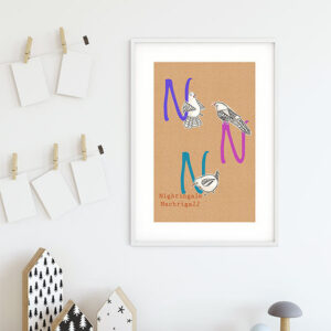 ABC Animal N