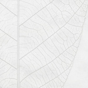 Decent Leaf