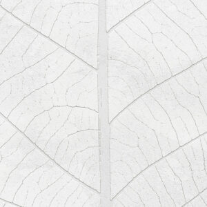 Decent Leaf