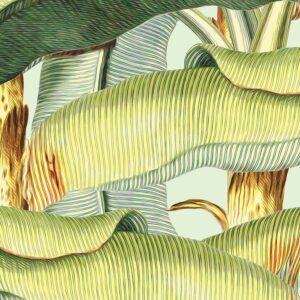 Banana Grove
