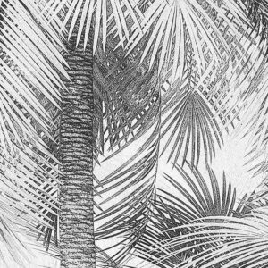 Cocco