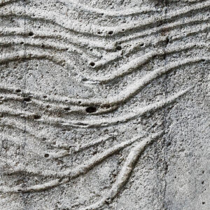 Concrete Feather