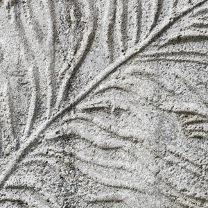 Concrete Feather