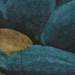 Rousseau Remix