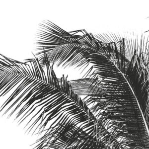 Retro Palm