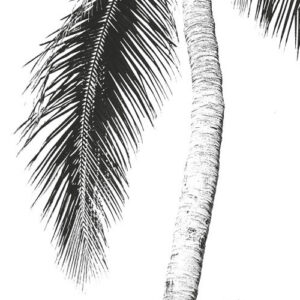 Retro Palm