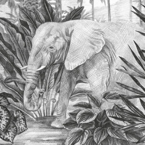 Jungle Evolution