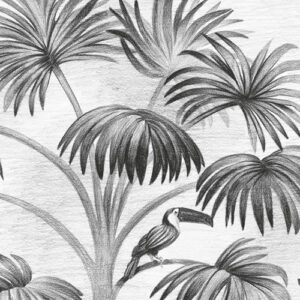 Jungle Evolution
