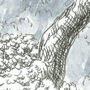 Rising Roots
