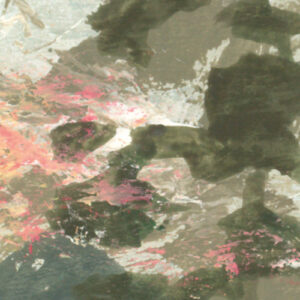 Harmonic Homeland
