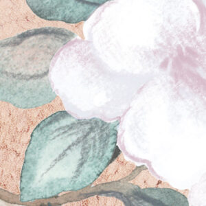 Hanging Hanami