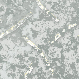 Obfuscated Ornament