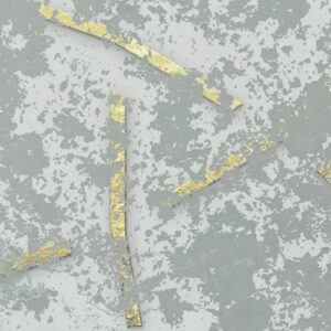 Obfuscated Ornament