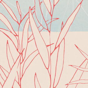 Plain